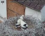 Capi_Dubne_20260622_165505.jpg