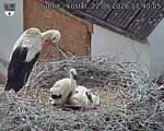 Capi_Dubne_20260622_174005.jpg