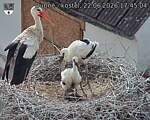 Capi_Dubne_20260622_174504.jpg