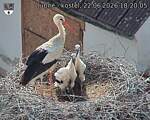 Capi_Dubne_20260622_182005.jpg