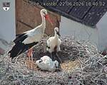 Capi_Dubne_20260622_184002.jpg
