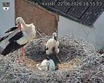 Capi_Dubne_20260622_185503.jpg