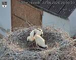 Capi_Dubne_20260622_200003.jpg