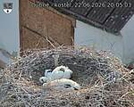 Capi_Dubne_20260622_200503.jpg
