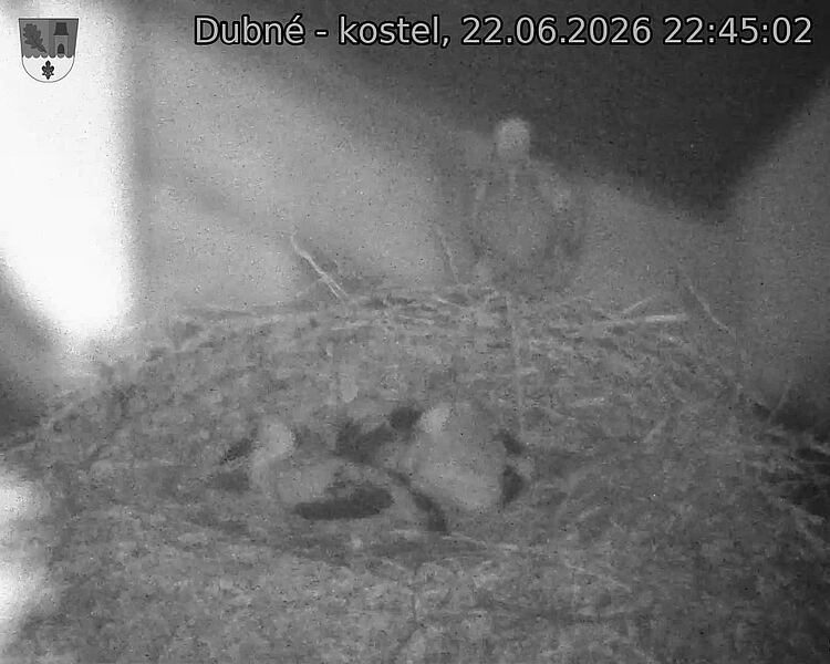 preload
