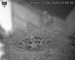 Capi_Dubne_20260622_230002.jpg
