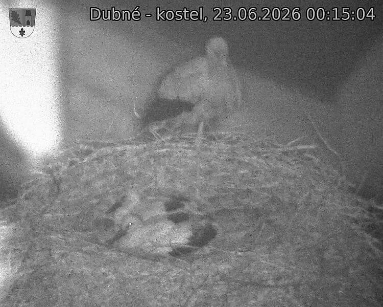 preload