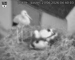 Capi_Dubne_20260623_044003.jpg