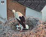 Capi_Dubne_20260623_053004.jpg
