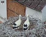 Capi_Dubne_20260623_112803.jpg