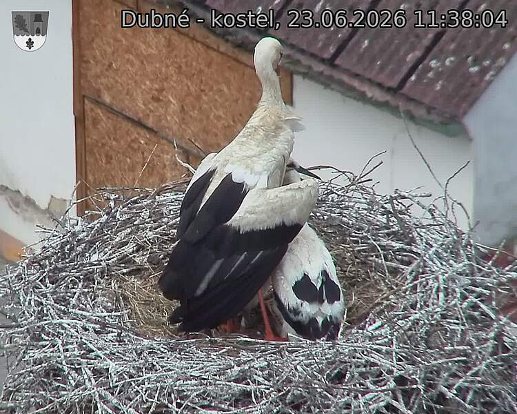 preload