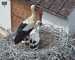 Capi_Dubne_20260623_123403.jpg