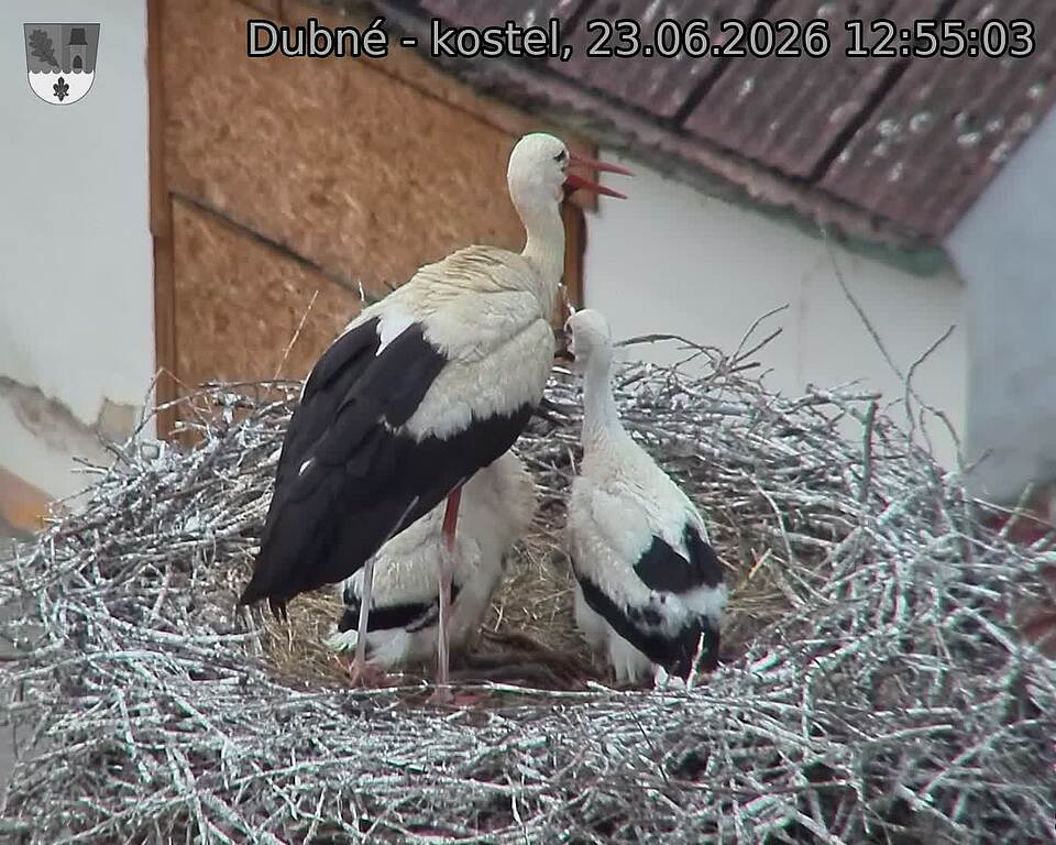 preload