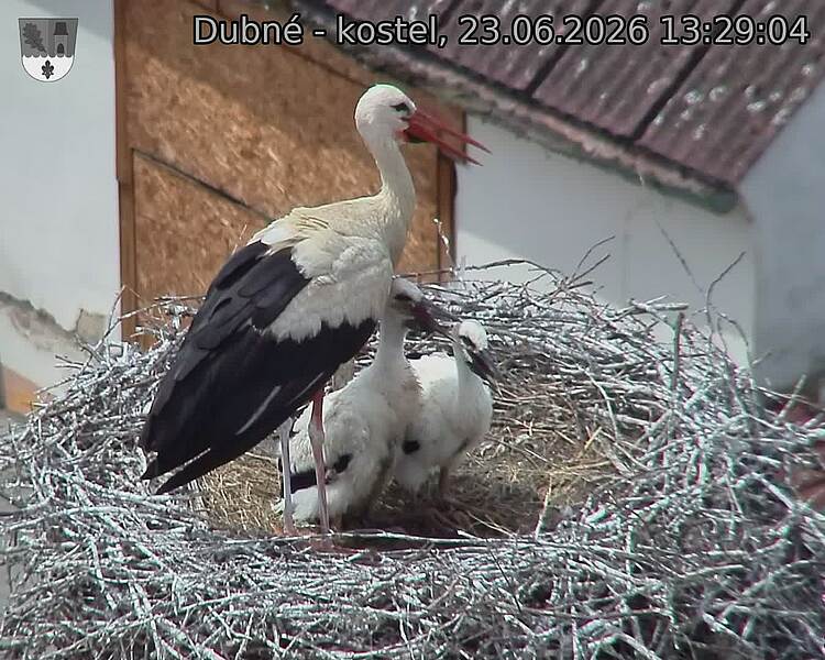 preload