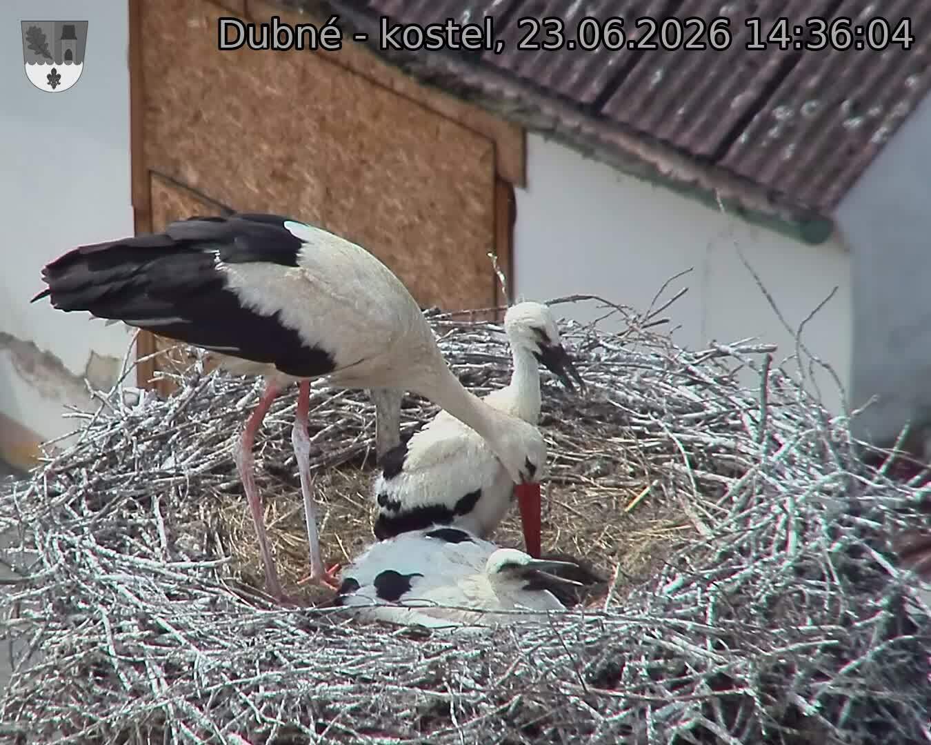 preload