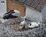Capi_Dubne_20260623_150404.jpg