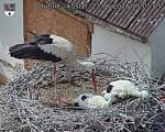 Capi_Dubne_20260623_150505.jpg