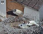 Capi_Dubne_20260623_150704.jpg
