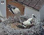 Capi_Dubne_20260623_151904.jpg