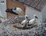 Capi_Dubne_20260623_152603.jpg