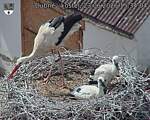 Capi_Dubne_20260623_153404.jpg