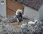 Capi_Dubne_20260623_162003.jpg