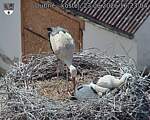Capi_Dubne_20260623_162304.jpg