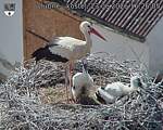 Capi_Dubne_20260623_162605.jpg