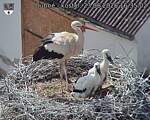 Capi_Dubne_20260623_163502.jpg