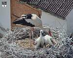 Capi_Dubne_20260623_164002.jpg