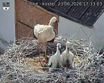 Capi_Dubne_20260623_173303.jpg