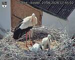 Capi_Dubne_20260623_174502.jpg