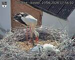 Capi_Dubne_20260623_175602.jpg
