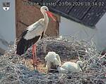 Capi_Dubne_20260623_183402.jpg