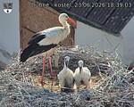 Capi_Dubne_20260623_183903.jpg