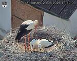 Capi_Dubne_20260623_184903.jpg