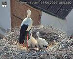 Capi_Dubne_20260623_185302.jpg