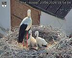 Capi_Dubne_20260623_185404.jpg