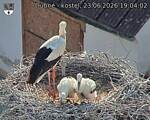 Capi_Dubne_20260623_190402.jpg