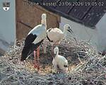 Capi_Dubne_20260623_190502.jpg