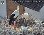 Capi_Dubne_20260623_190604.jpg