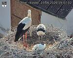 Capi_Dubne_20260623_190702.jpg