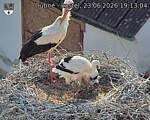 Capi_Dubne_20260623_191304.jpg