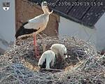 Capi_Dubne_20260623_191504.jpg