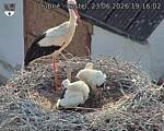 Capi_Dubne_20260623_191602.jpg