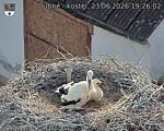 Capi_Dubne_20260623_192602.jpg