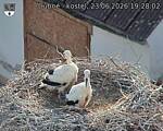 Capi_Dubne_20260623_192802.jpg