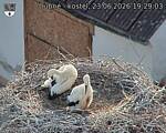 Capi_Dubne_20260623_192903.jpg