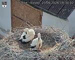 Capi_Dubne_20260623_193002.jpg