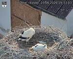 Capi_Dubne_20260623_193303.jpg